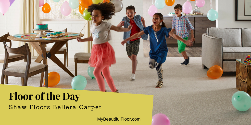 MyBeautifulFlor's tweet photo. Floor of the Day – Bellera Carpet from @ShawFloors 
https://t.co/6IA65xwC10 
#flooroftheday #ihavethisthingwithfloors #Floorlove #homedecor #flooring #floors #carpet #carpetlove #mybeautifulfloor
https://t.co/rHh6IvmSUO https://t.co/ombxt96jnl