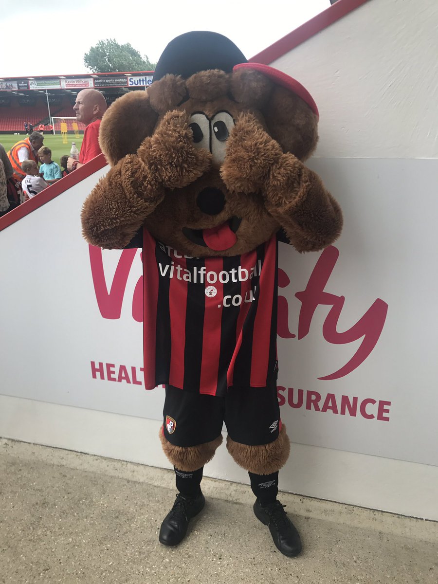dorsey_bear's tweet photo. Went down to the #juniorcherries open training session today @afcbournemouth to see how the new JC charity @GullysPlace are getting on. 

Cherry Bear looked ever so sad and lonely without his Wingbear. What do you think? Should @GullysPlace get him a new friend? ❤️DB https://t.co/wLmSkGmHNs