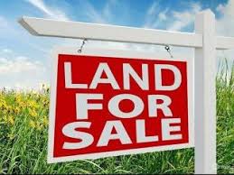 Leke_Sanni's tweet photo. #ForSale 
Land for sale @ Osborne Phase 2, Ikoyi

Asking price: N150m
Dm for more details. https://t.co/NQR98aw4bh