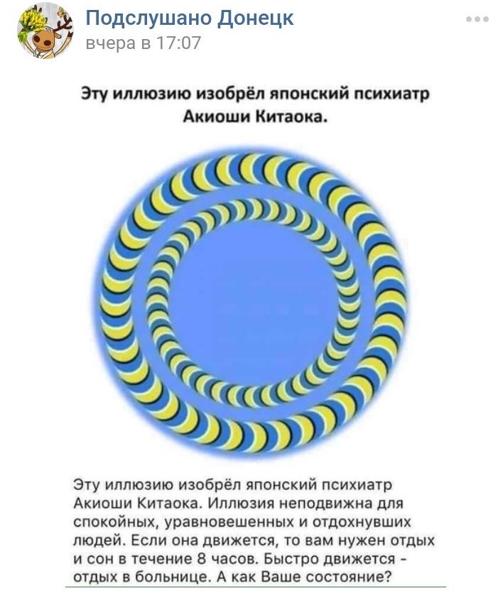 Исходя из цветовой гаммы, страшно представить что творится с свинособаками при виде этого
Приступ эпилепсии гарантирован