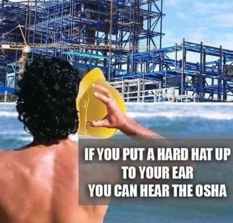 CRANES 101 (@cranes10111) on Twitter photo 