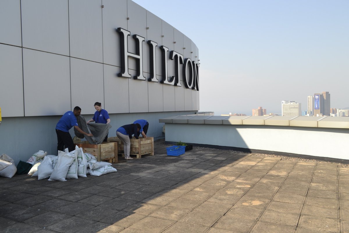 Hilton_Durban's tweet photo. Hilton Durban’s Day 4 of Global Week of Service – Hotel Roof Top Garden
#TravelwithPurpose  #GWScontest  #WeAreHilton @HiltonNewsroom https://t.co/0t36A5tkED