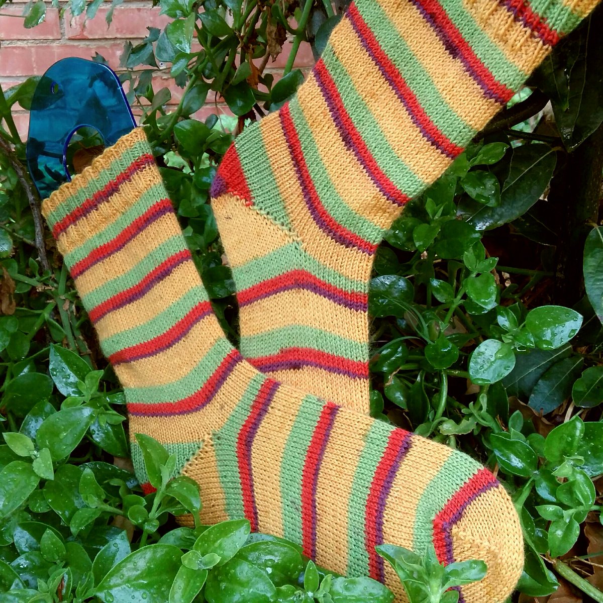 natur_lanas's tweet photo. Almacenando sol 🌞🌞🌞para los largos, oscuros y frios dias de invierno⛄⛄⛄
Calcetines tejidos con Strompegarn de Hjertegarn  en  https://t.co/mRXPiiREtv
#tiendadelanas #yarnshop #strompegarn #hjertegarnstrompegarn #hjertegarn #sockyarn #sockofthemonthclub18 #sockknitter https://t.co/4w0QfIRpU4