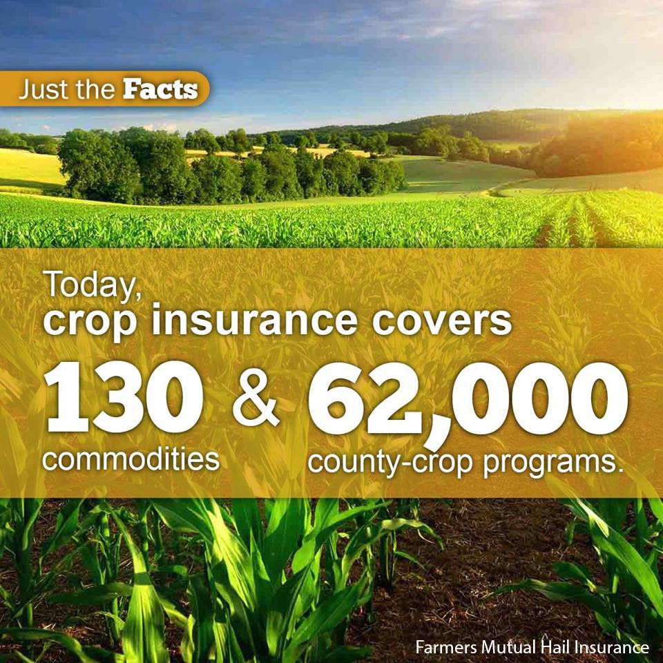 Manning Insurance (Manning_Ins) Twitter