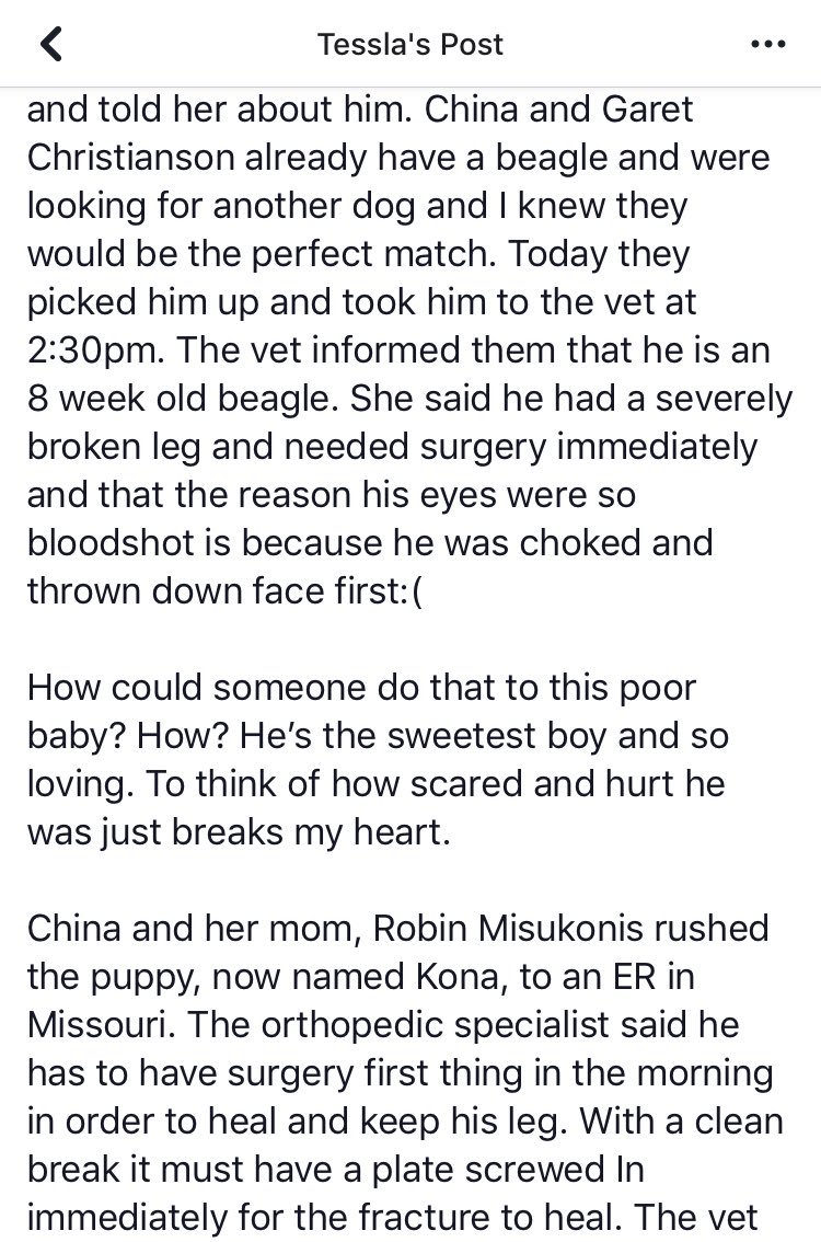 ECheerCoachT's tweet photo. Please share to save Kona ♥️ 

https://t.co/22HCJ9aG8k https://t.co/SXNrw5ml5O