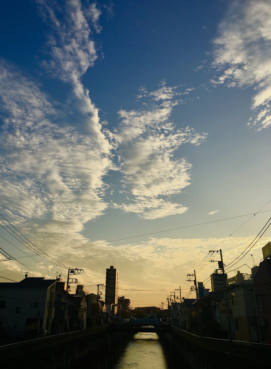 アイ 朝と夜の間を見つけたよって 君が言ったから 僕は急いで出かけたけど もう夕方だった 青い空見るの久しぶりだな 行きのバスで酔わないか 心配だな クリープハイプ 東京日和