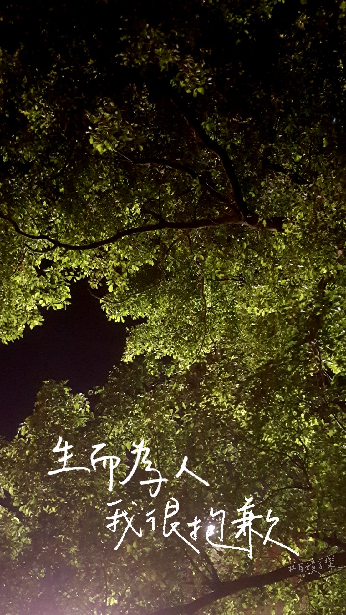 تويتر Zi Yu Zi Ler自娛字樂على تويتر 太宰治 人間失格 生而為人 我很抱歉 自娛字樂 手寫 手機桌布 繁體字 Chinesecharacter Handwriting Photohraphy Lockscreen Wallpaper