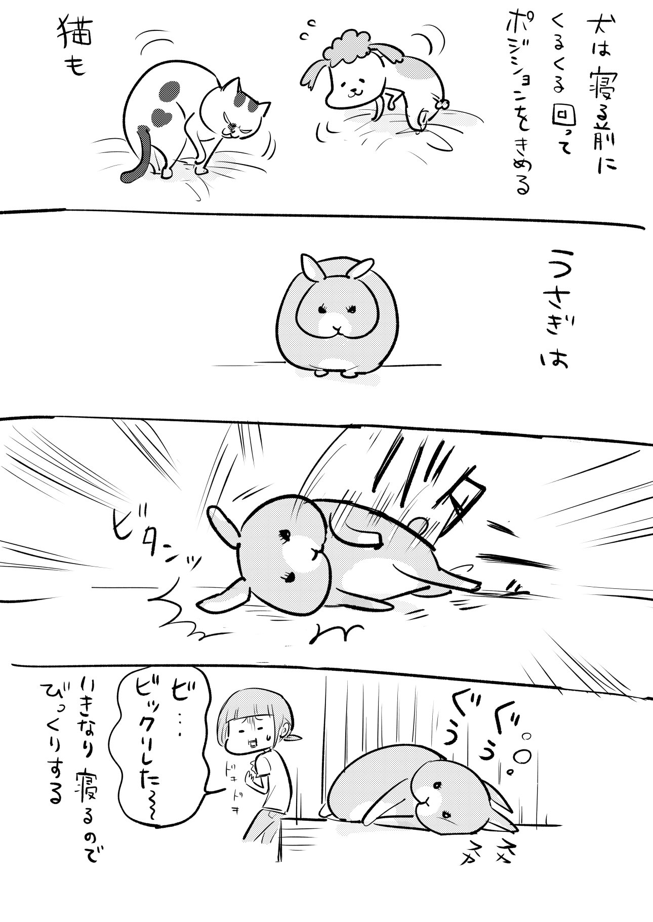 トカゲやウサギもかわいい トカゲは威嚇し ウサギは急に寝る 話題の画像プラス トカゲやウサギもかわいい トカゲは威嚇し ウサギは急に寝る 話題の画像プラス
