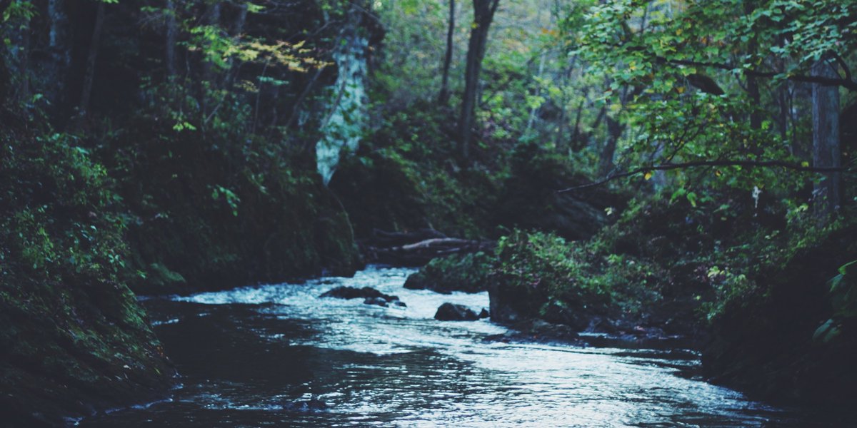 OxfordJournals's tweet image. Are stream ecology and stream restoration not as effective as they could be? @BioScienceAIBS explores how improvements could be made to create a more robust and ecologically sustainable field bit.ly/2uk0APe