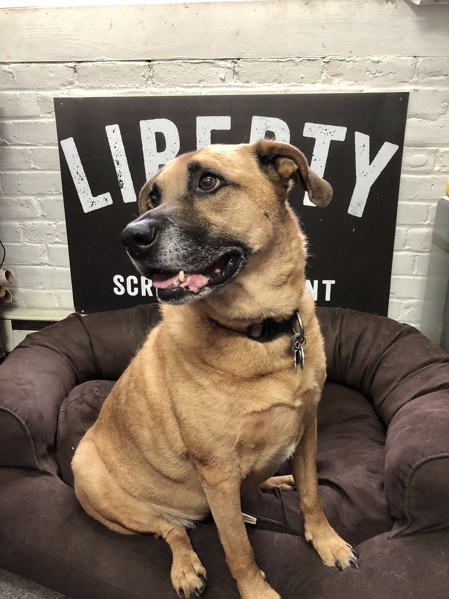 LibertyScreenPrintCo tweet media