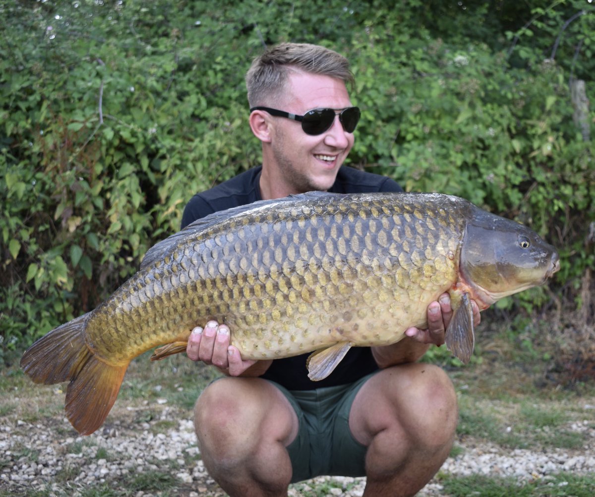 DanDyer86's tweet photo. Here’s a few from a crazy July at #linear #manorfarm including ‘the pretty one’ at well over 40lb. Constant light baiting and fishing amongst the weed proved key as the bites just kept coming #shortrange #newbait #homefromhome https://t.co/SwnT9LU1NN