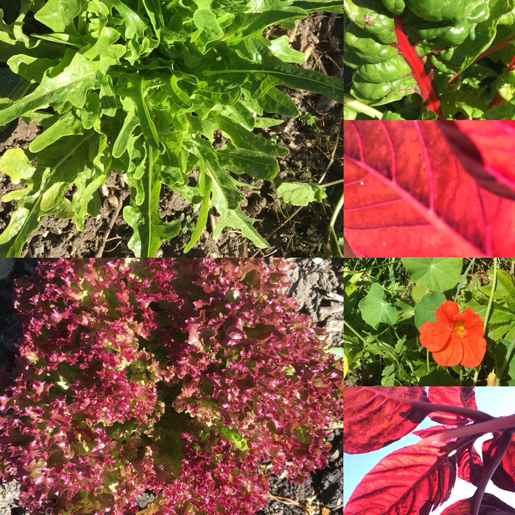 Axminster Country tweet media