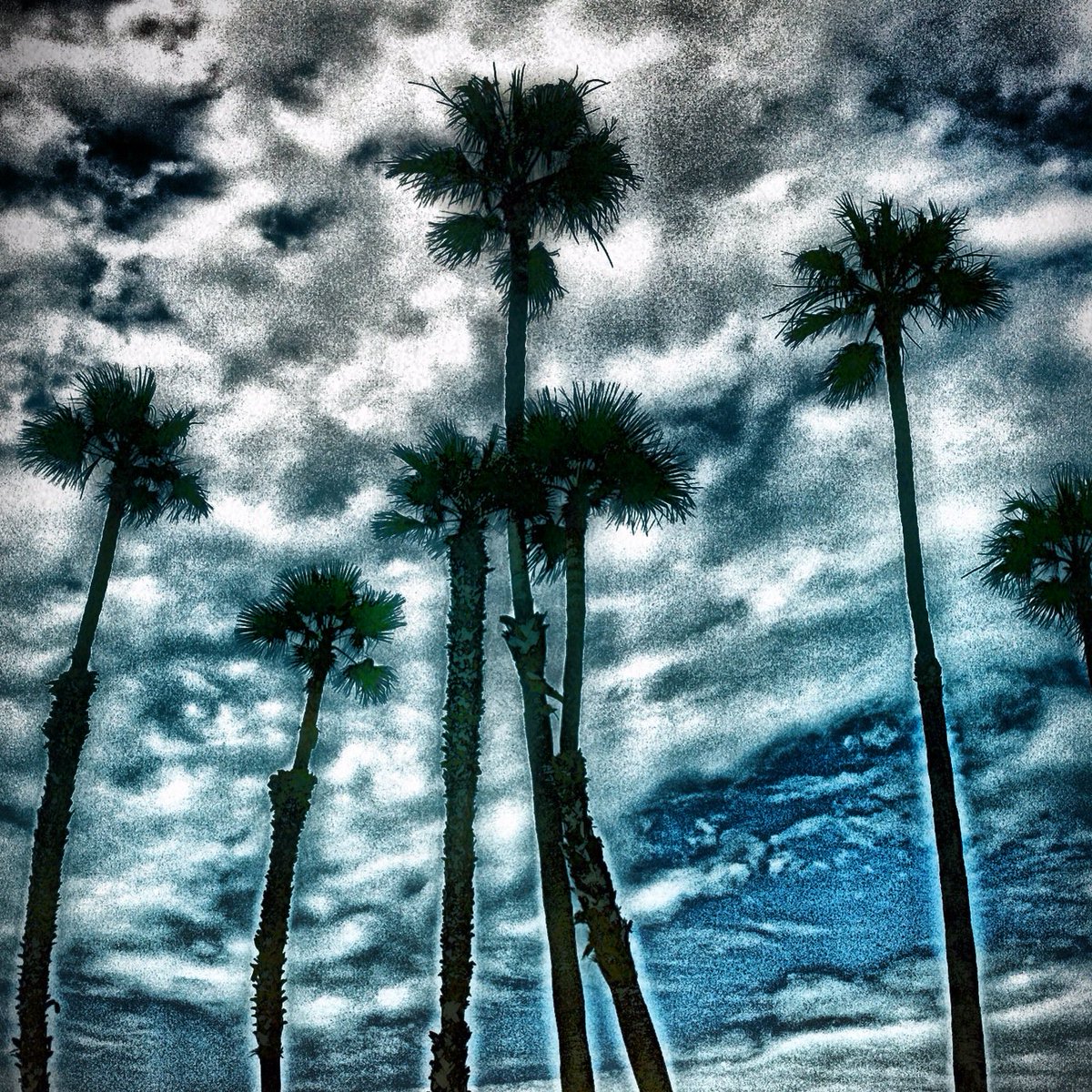IdimageFrank's tweet photo. Monday Blues back at it. https://t.co/WbiNnycSpk