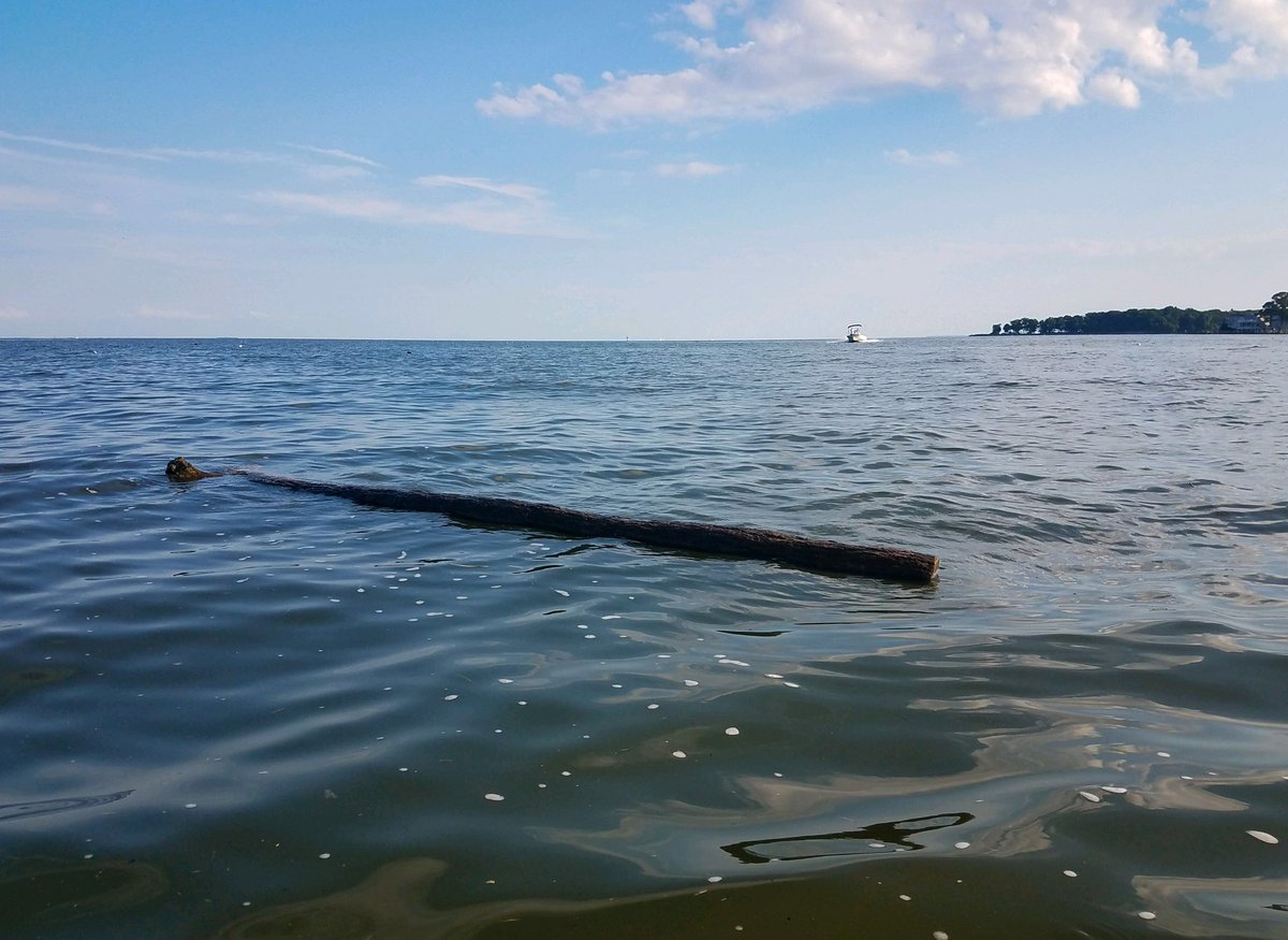 MarylandDNR's tweet photo. PLEASE RETWEET: @MarylandDNR urges boaters to use extreme caution while navigating the Chesapeake Bay &amp; its tributaries due to the large amount of marine debris which is now in the mid-bay area. Make and share a plan, slow down and always wear a life jacket! #wearit https://t.co/cwYqkt7bje