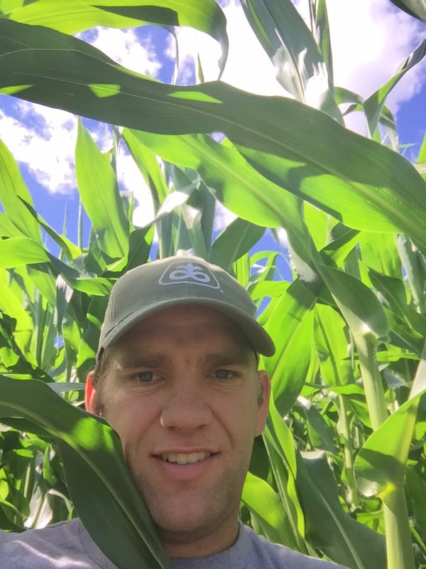 6909 is blowing by everything in NW Sask. Looks very good and early. . ⁦<a href="/PioneerSeedsCA/">Pioneer Seeds Canada</a>⁩ #yieldhero18