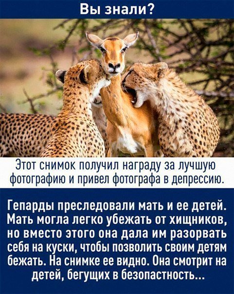 drunktwi's tweet image. 