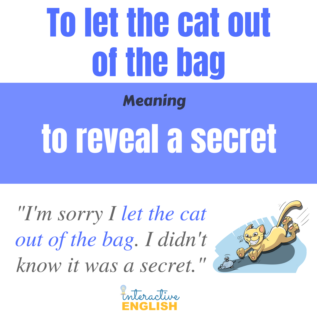 Interactive English On Twitter Idiom Of The Day Have You