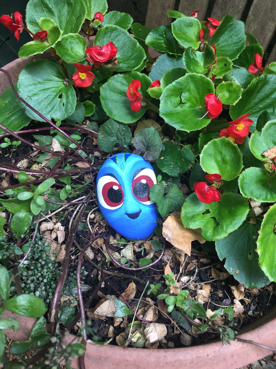 SineadMarray's tweet photo. Come join us @PlantationWood on Wednesday for #NationalPlayDay fun filled, with tons of activities for the whole family ! #NorfolkRocksUK #KingsLynnRocks #Dory @DisneyStudios https://t.co/9qijAeKEg9