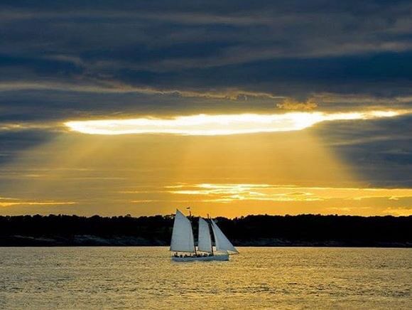 NewportLifeMag's tweet photo. This shot from @OralRCarter shows why #NewportRI is so precious. Thank you, again...
#MyNewportLife #POTD #PhotoOfTheDay #401 #401Only #SummerTime #Summer #SummerIsHere #CheersToSummer #RI #RhodeIsland #Aquidneck #AquidneckIsland #NewportRI #Sunset https://t.co/M6tPBPfmDi