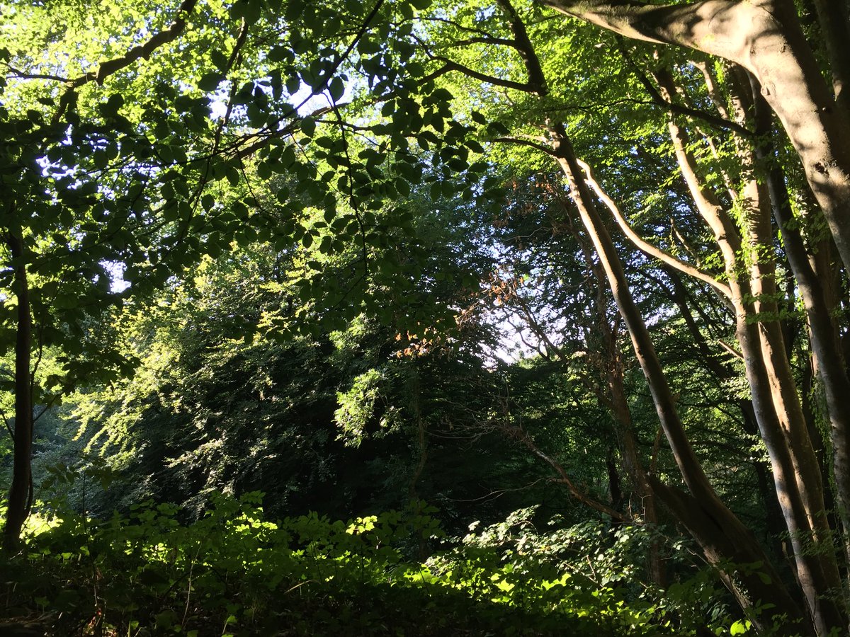 The power of spending time in the outdoors should not be underestimated. Charlotte shares her personal journey with us, as to how spending time in the outdoors has helped her overcome obstacles in her life - adventuretherapy.org.uk/blog #mentalhealth #naturesenergy @CUnderwoodUK