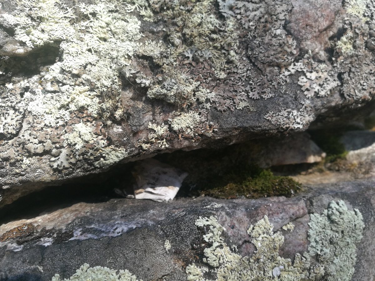 Someone had left small notes - maybe wishes - at the #Kirkkopahta #offeringStone. Have you seen anything similar at #SacredSites ? #ContemporaryDeposits