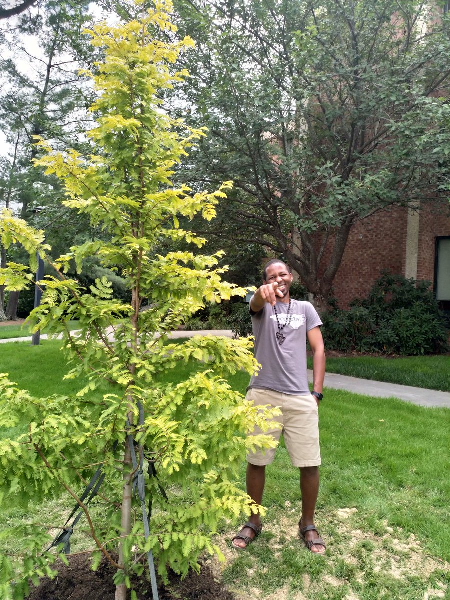 tajiel_urioh's tweet photo. A picture of the Taj Tree ๐ฒ was in the morning @WashFellowship Summit Slideshow at #WashingtonDC. 700 #MandelaFellows saw it!, plus tenth of other guests.
#YALI2018 #MyMandelaLegacy #LivingLegacy #MWFatAppstate #MWF2018 #Tanzania
@IREXintl ๐ Taj Tree Day is July 26 Every Year. https://t.co/RsRf05p3Cn