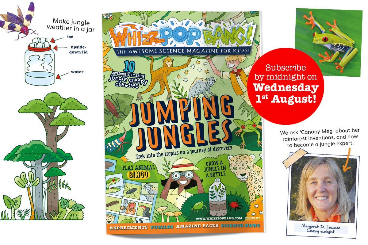 whizzpopbangmag's tweet image. Lace up your hiking boots and get ready for a trek through the leafy luscious pages of the next edition of Whizz Pop Bang! Subscribe by midnight on Wednesday 1st August! 👇🏾

#SummerScienceFun #JumpingJungles #Rainforests #summerholidays