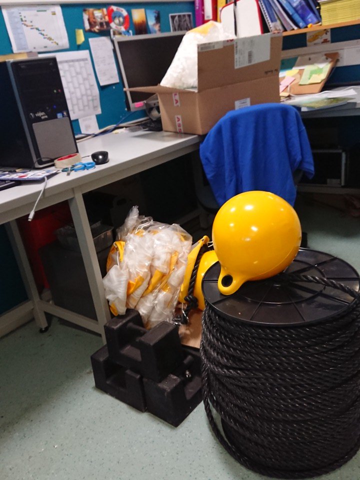 marinemols's tweet photo. my bay buddy thinks I'm turning our cubicle into a sailing ship #bay618 #fieldwork #planktonsampling https://t.co/8htoDfPsFW
