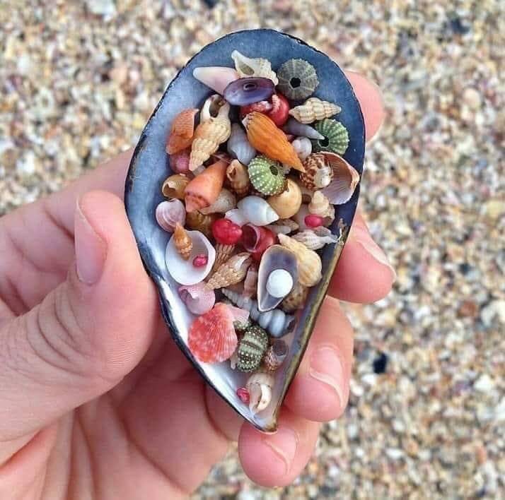 #insanların Bu Kadar hızlı kabuk değiştirdiği bu dünyada,,,
Dilini #Yüreğinden,,
            Gözlerini #Sevdiğinden 
Ve samimiyetinde Kişiliğinden,,
Ayırmayanlara #Selam,,,olsun...