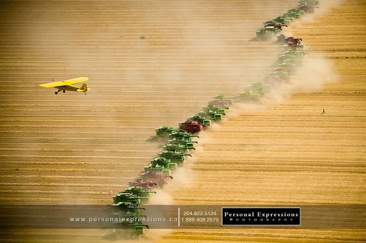 Guinness World Record attempt Saturday (Aug. 4) in Winkler, MB..."Most Combines Harvesting Simultaneously". Part of 2-day event by <a href="/ccicamps/">Children's Camps International</a> to raise $$ to help send 1 million kids in developing countries to Christian faith camps: ccicamps.com/initiatives/ha…
<a href="/harvestforkids/">CCI Harvest for Kids</a>