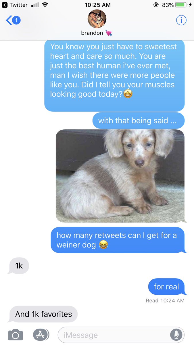 kaileynichole99's tweet photo. help a girl outttt☹️ @strandooo https://t.co/cxhGmVFFIv