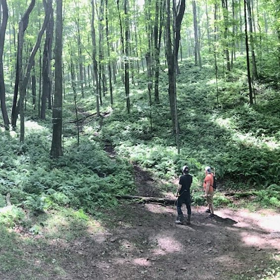 Kingston Archery Club Twitter