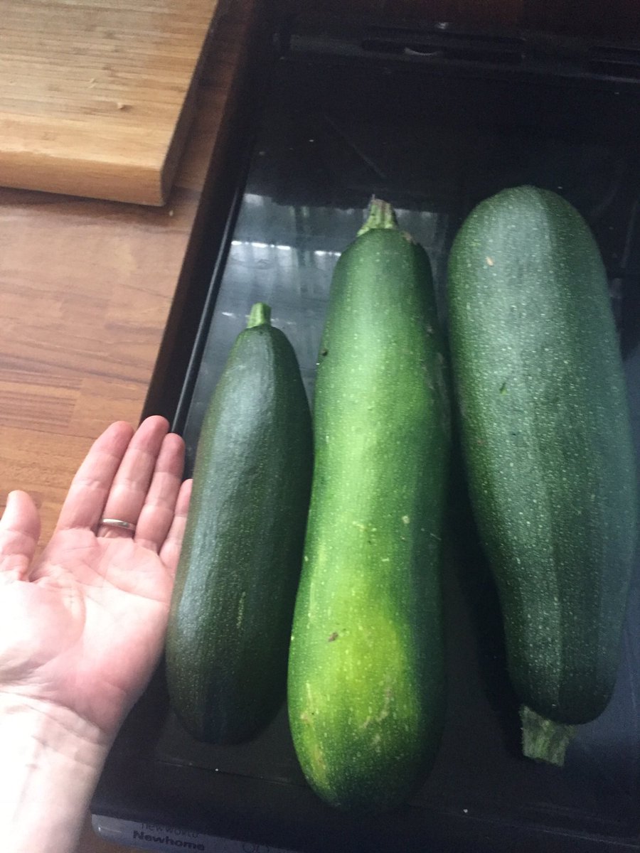 when does a courgette become a marrow?