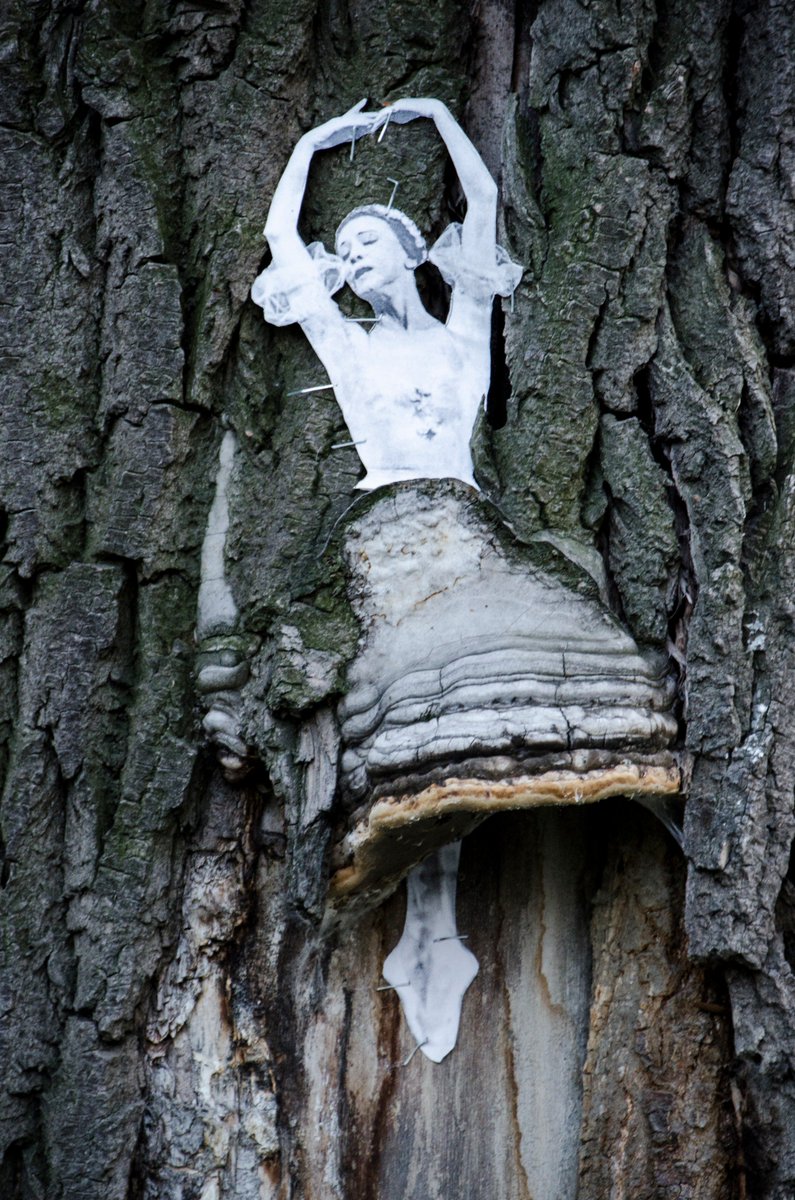 street_ekb's tweet photo. #cbfest #StreetArt #ekb #ekaterinburg #artwork #wallart #vandal #art #ballerina #tree https://t.co/yBLSy8Gvi4
