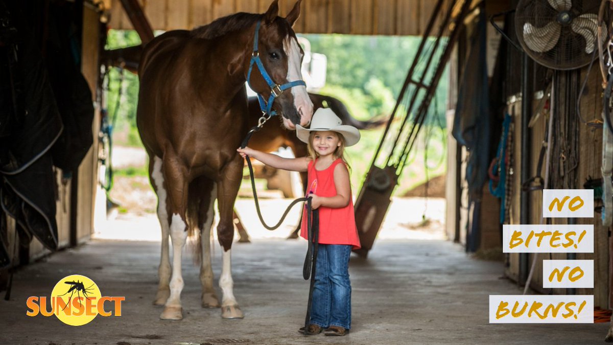 ButchFinnigan's tweet image. Retweeted Sunsect (@Sunsect15):

"The essential joy of being with horses is that it brings us in contact 
with the rare elements of grace, beauty, spirit and freedom."  ~ Sharon Ralls Lemon  

#NOBITESNOBURNS #SUNSECT #DEET #INSECTREPELLENT