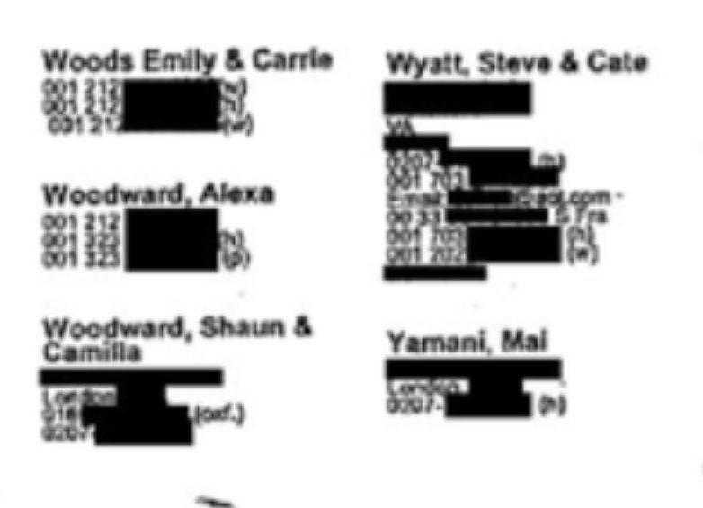 MP Shaun Woodward, who married into the Sainsbury dynasty, and his wife Camilla both appeared in Jeffrey Epstein's little black book.