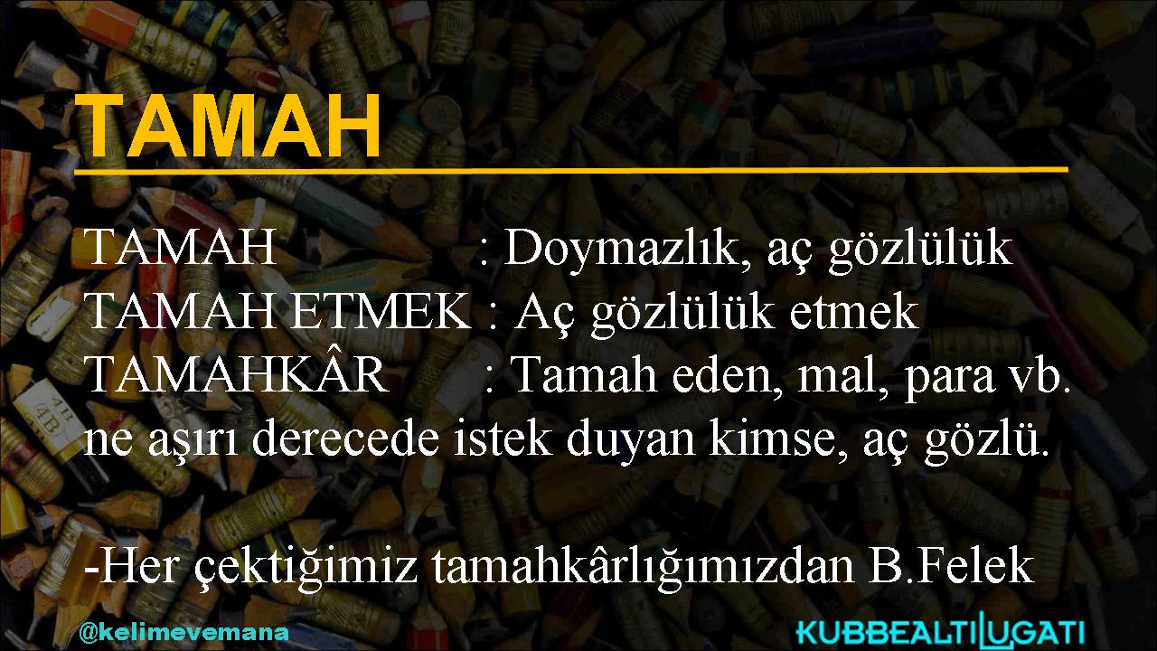 Tamahkar Twitter Search Twitter