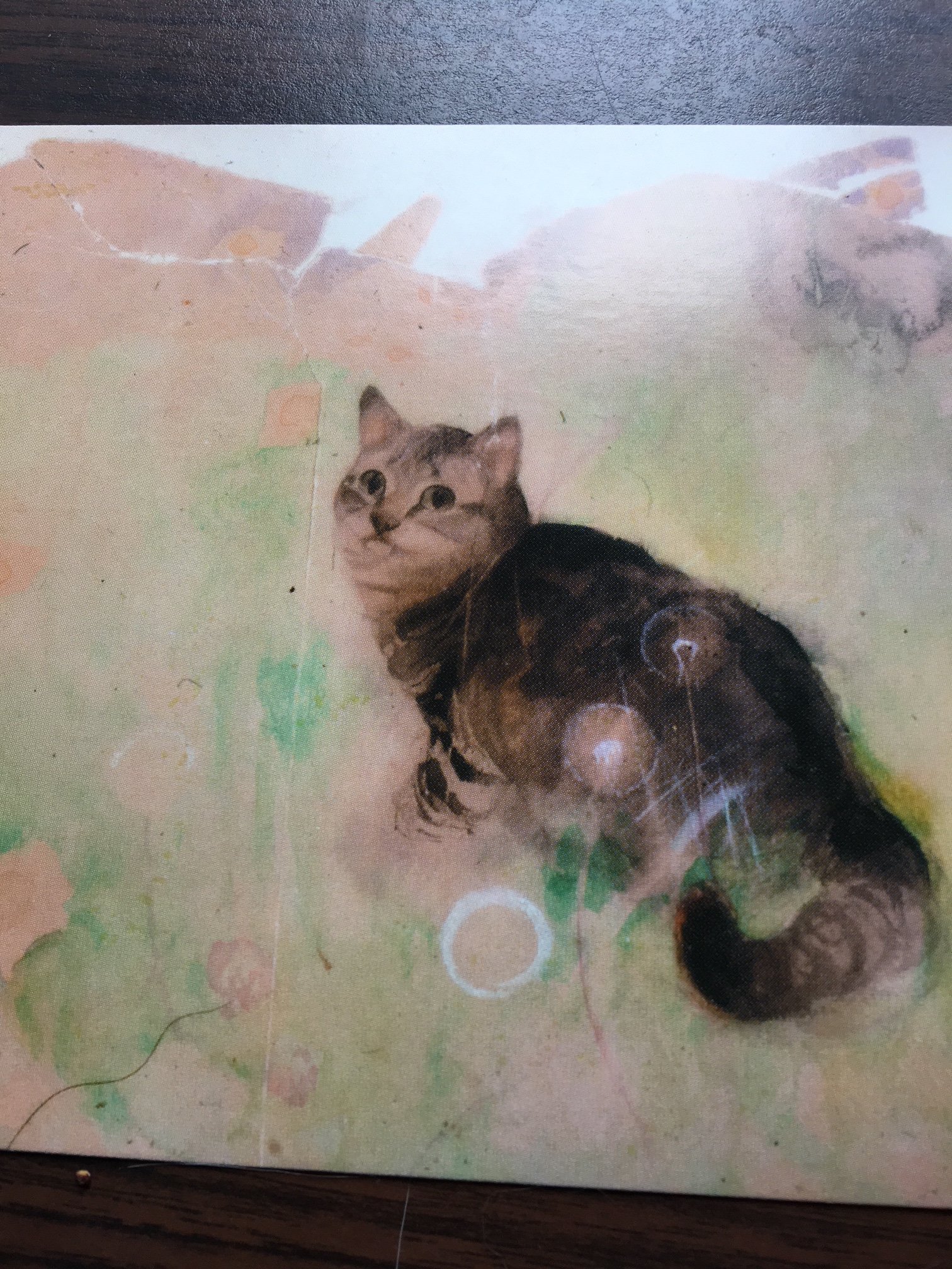 the white cat joyce carol oates