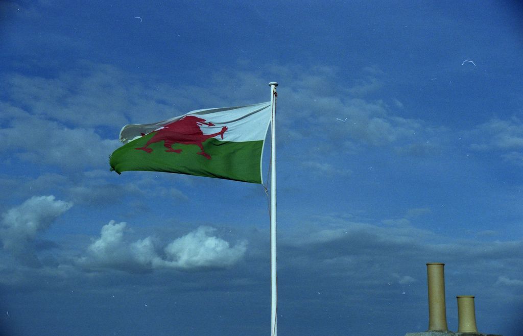 StartUp Awards tweet media