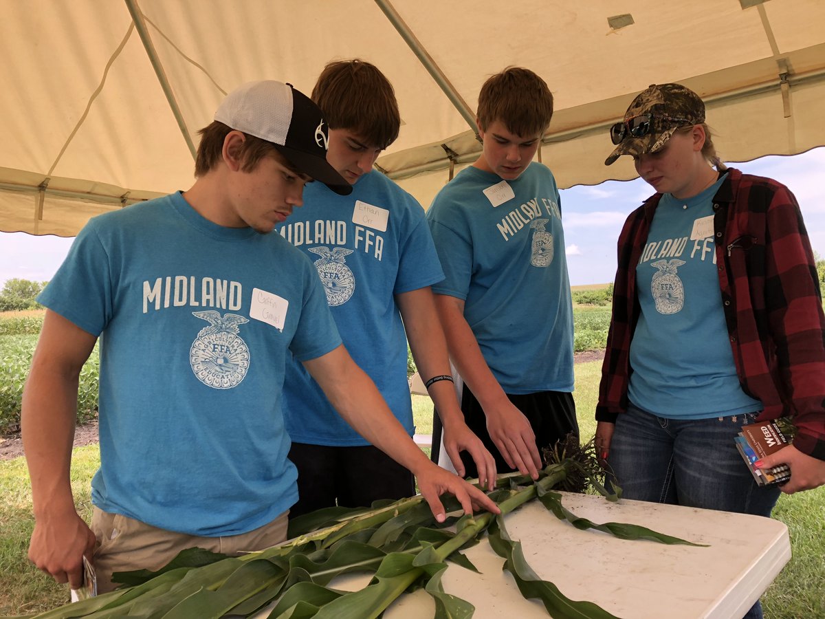 nciacrops's tweet photo. Watching @Midland_FFA stage corn at the #scoutcomp18 at the @ISUFieldLab. #ISUCrops https://t.co/Y8G9UZohgc
