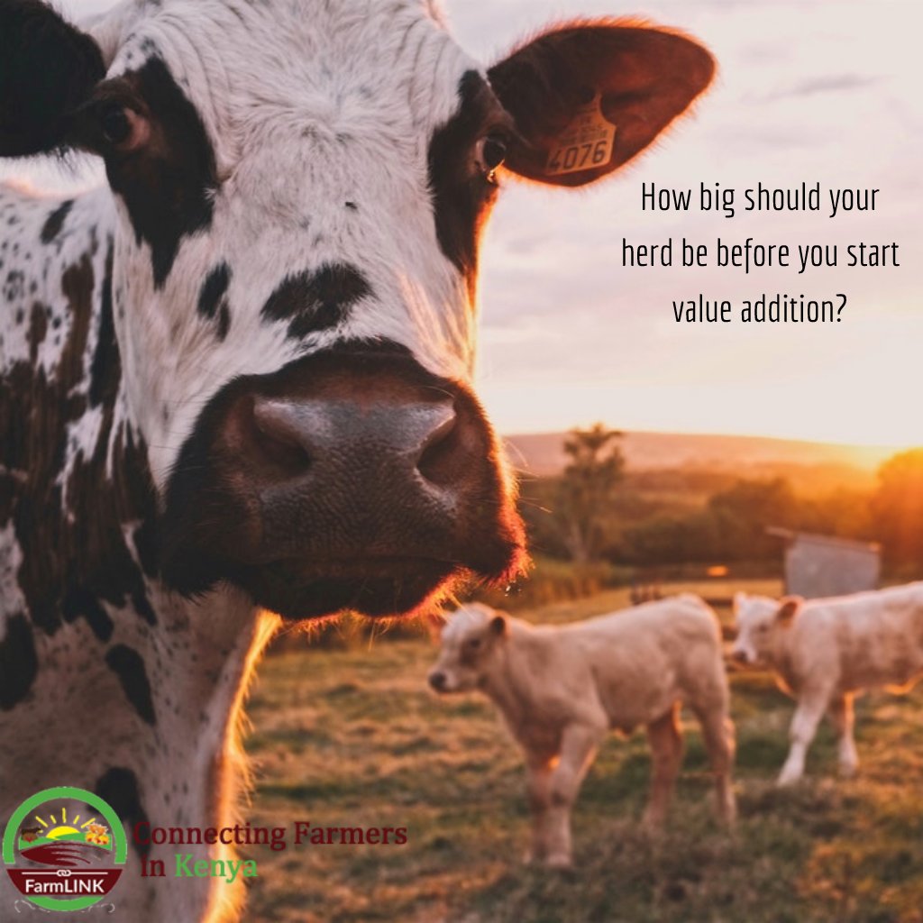 FarmLink Kenya tweet media