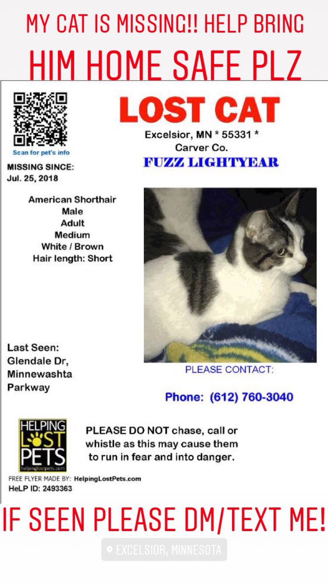 h_nitz's tweet photo. Twitter please do your thing I just want my cat back safe 😭 https://t.co/SEBvXWrfYo