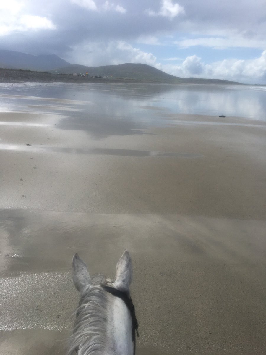 duskymooncb's tweet image. Such a beautiful place! #ireland #weatofireland #mayo #connemarapony #beach #ruby