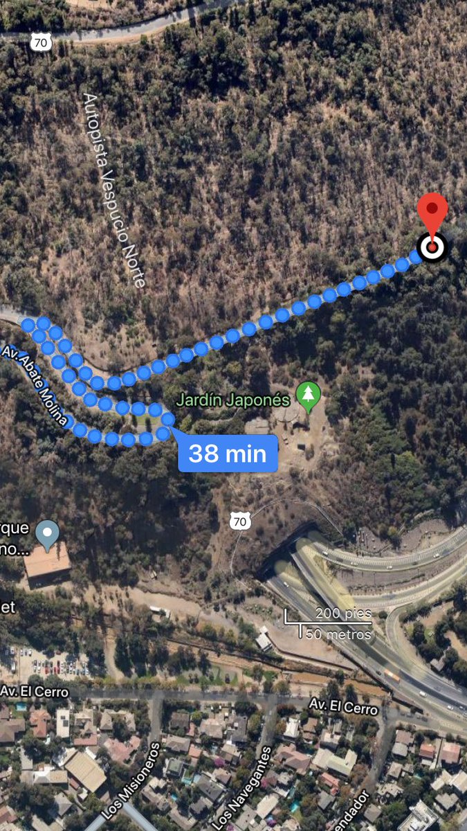 cruising_chile's tweet photo. Uno de los mejores lugares, donde podrás realizar de todo, sin que nadie te moleste,es el cerro san Cristobal.
El mejor horario es duran la mañana o tarde de los fines de semana o festivos.
(Bajar antes de que se oscurezca) #cruising #RT #Chile #gay #morbo #vouyer https://t.co/oaWUExfUzu