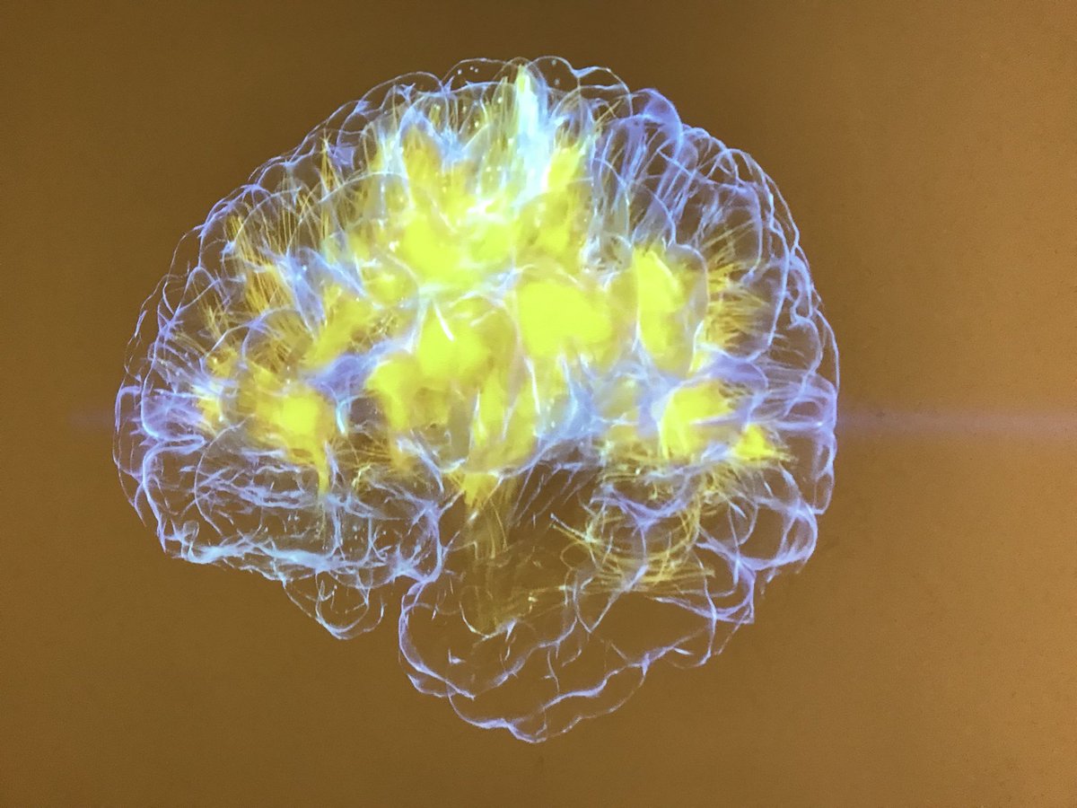 Sproutive's tweet image. After the #scratchMIT2018 conference, I stopped at the @MITMuseum for a brief visit. Their guft store carries great materials to fuel kids’ #STEAM interests