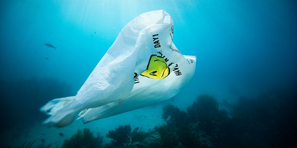 Surfrider Foundation tweet media