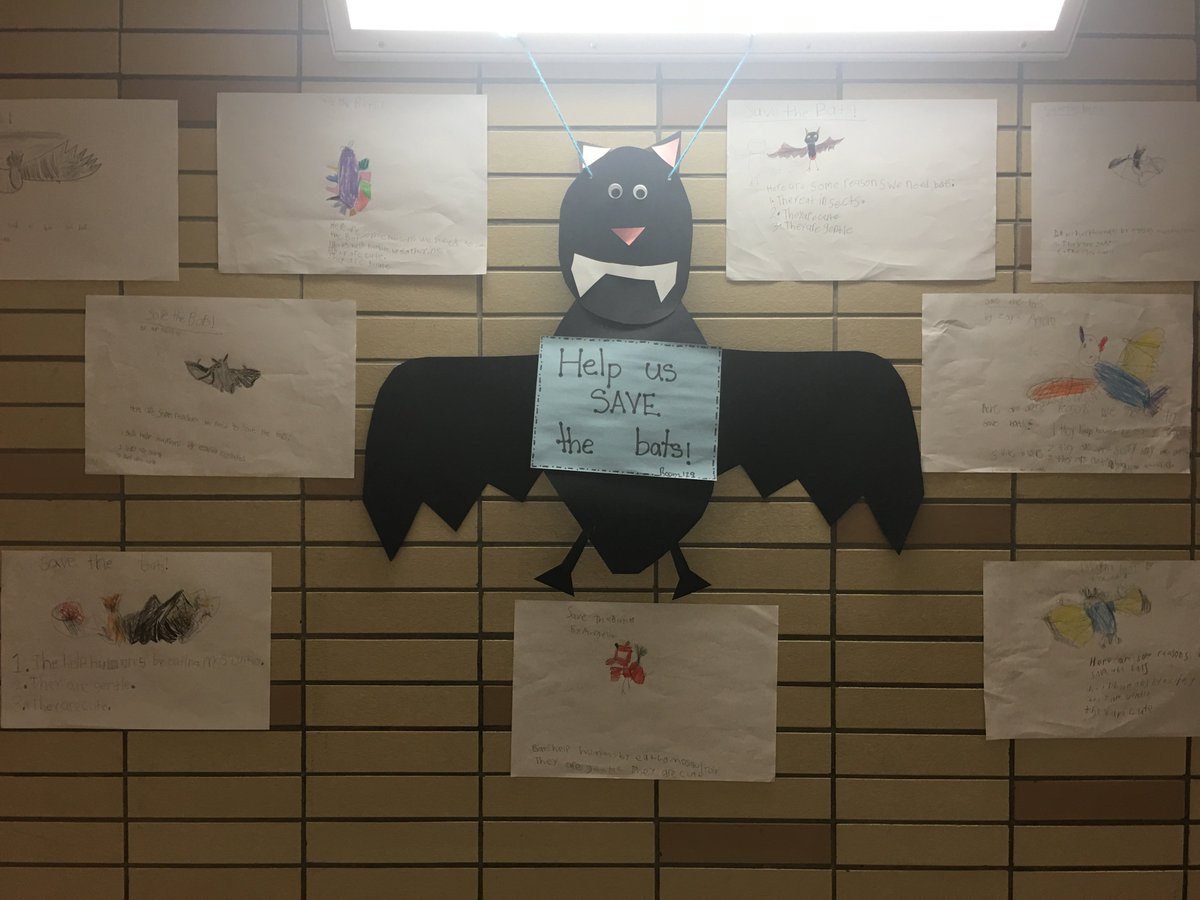 McK_SummerPlus's tweet photo. The second graders have gone a little "batty" for literacy. #BatsofNewJersey #NPS #Newark #SummerPlus #SummerFUN https://t.co/ZNLgKCkIWA