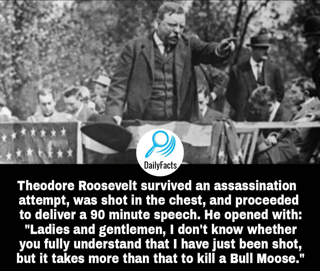 NowYouKnowDaily's tweet image. 