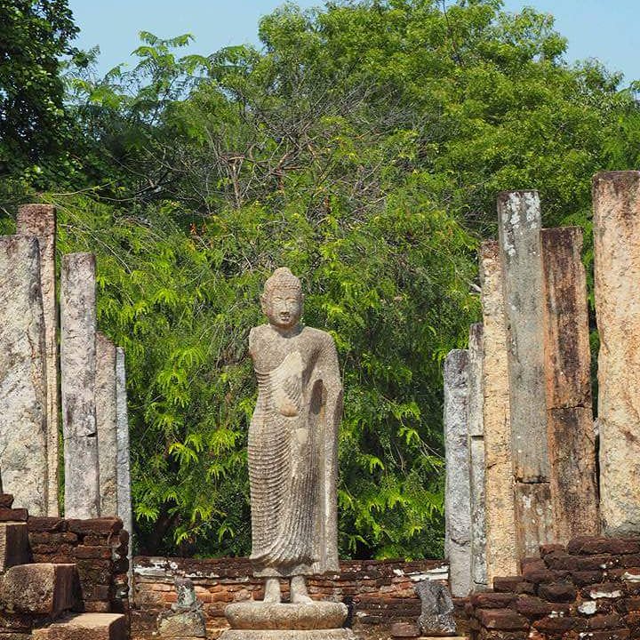 LankaTourDriver's tweet photo. #watadhagaya #plonnaruwa #buddah #stone #statue #srilanka #roundtour #driver #guide #history #capital #Culture #awesome #Travelling #traditional https://t.co/rkbBq8IkjK https://t.co/NV7hBBOahh