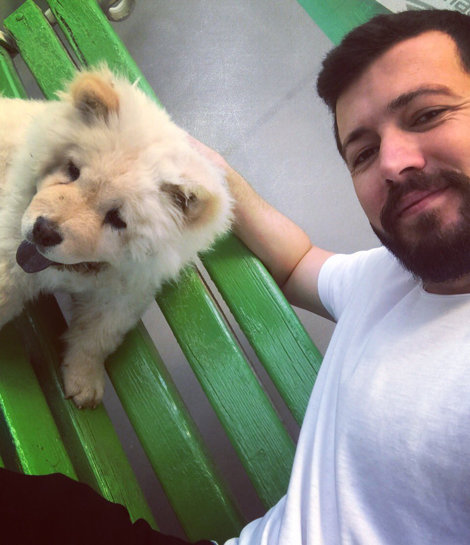 Mehmet_Camkiran's tweet photo. 🦁 https://t.co/EM2RYgT2Yo